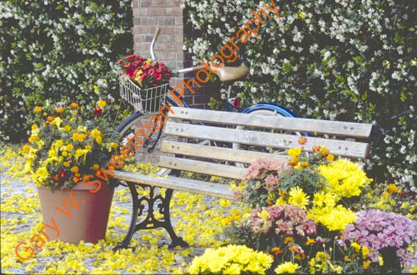 Bench, Flowers, Old Bike Horz