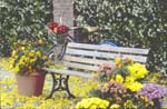 Bench, Flowers, Old Bike Horz