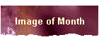 Image of Month