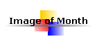 Image of Month