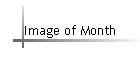 Image of Month