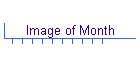 Image of Month