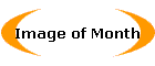 Image of Month