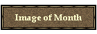 Image of Month
