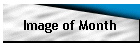 Image of Month