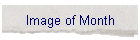 Image of Month