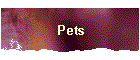 Pets