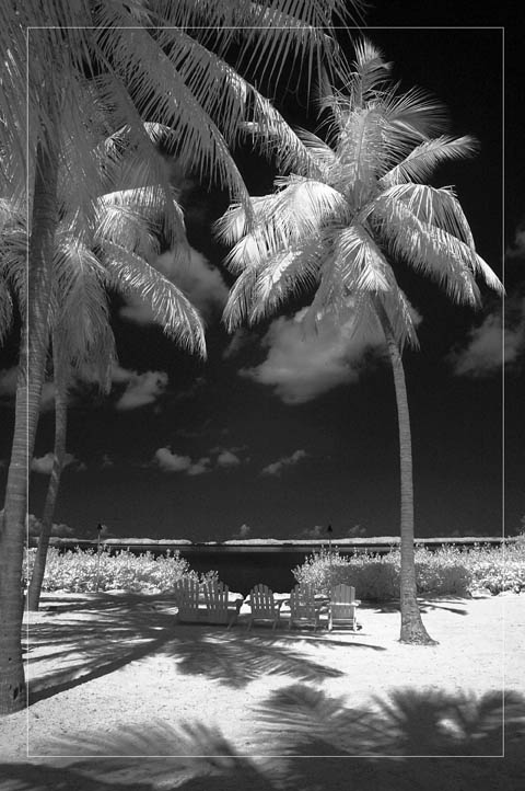 Florida Keys Islamorada infrared photo  by Gary Sweetman