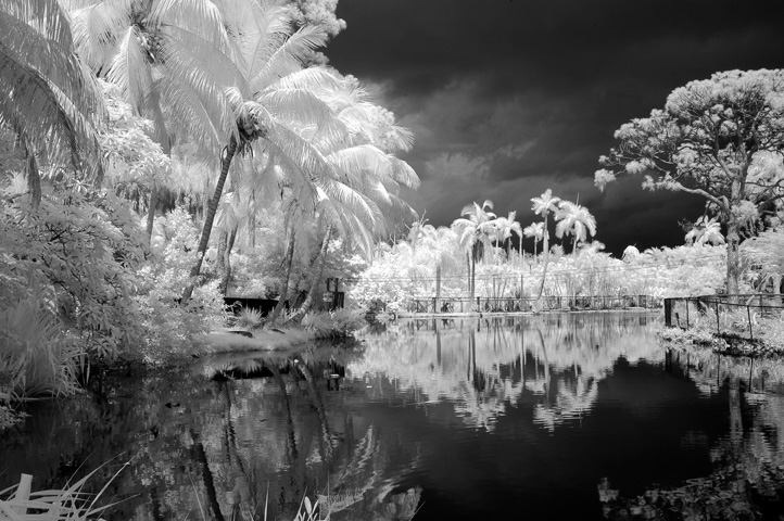 Tropical florida b&w summer skies, clouds, Naples Zoo, Summer thunderstrom over everglades