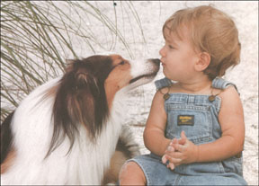 dog licking baby's face beach portrait of children and dog