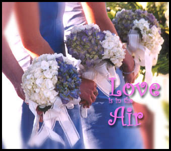 Boquet composite of bridesmaides Photojournalism, destination travel photographer, sensitity, details, silent witness, unobtrusive, creative spirit