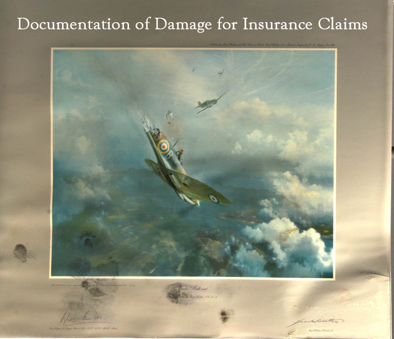 Documentation of Damage for Insurance Claims